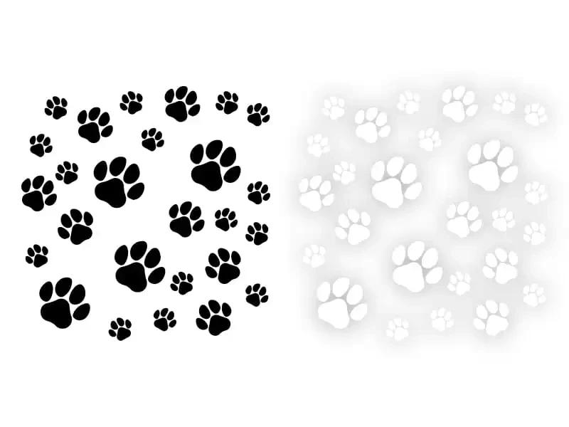 25702.webp