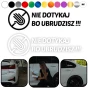 White-and-Orange-Modern-Car-Rent-Instagram-Post-_4_.webp