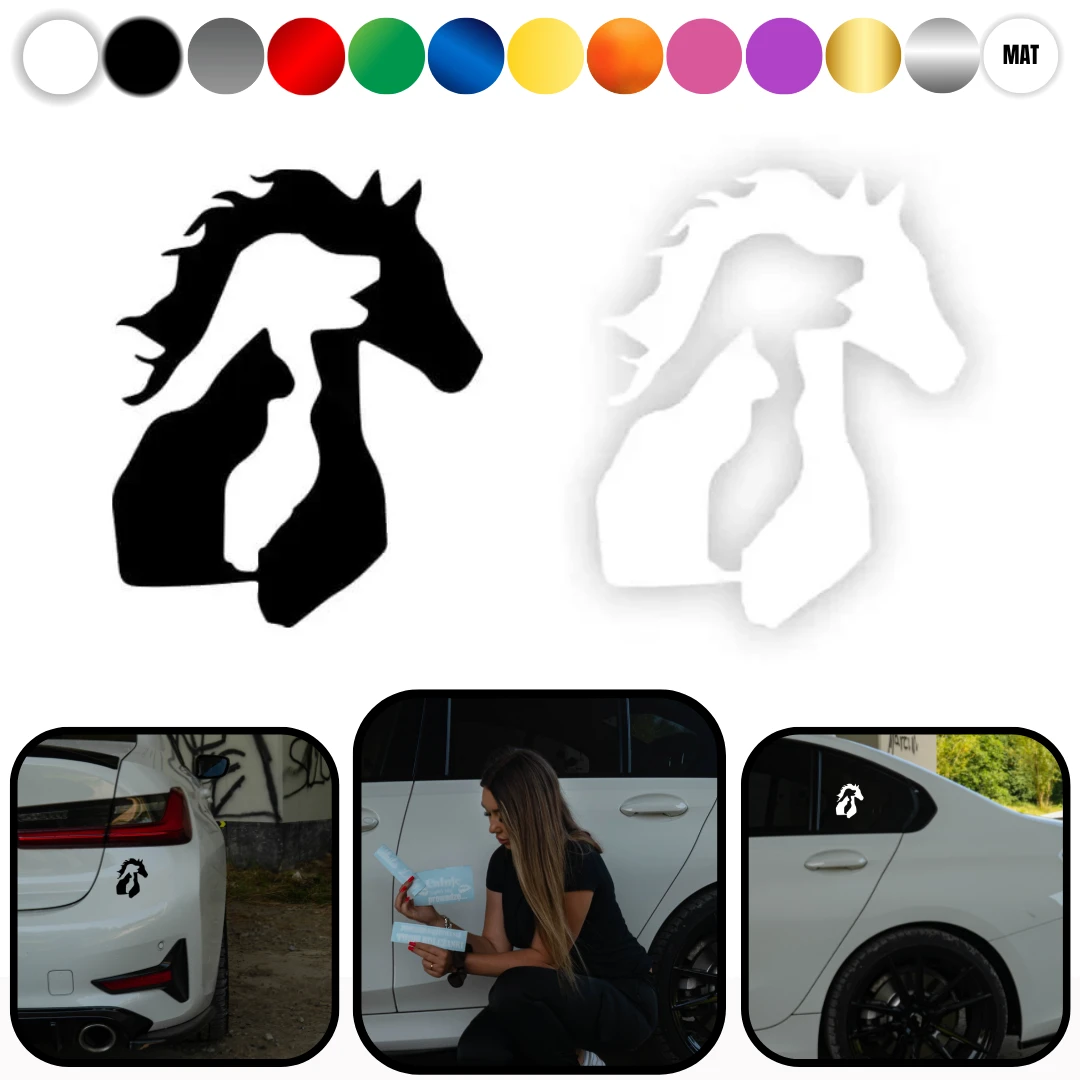 White-and-Orange-Modern-Car-Rent-Instagram-Post-_1_.webp