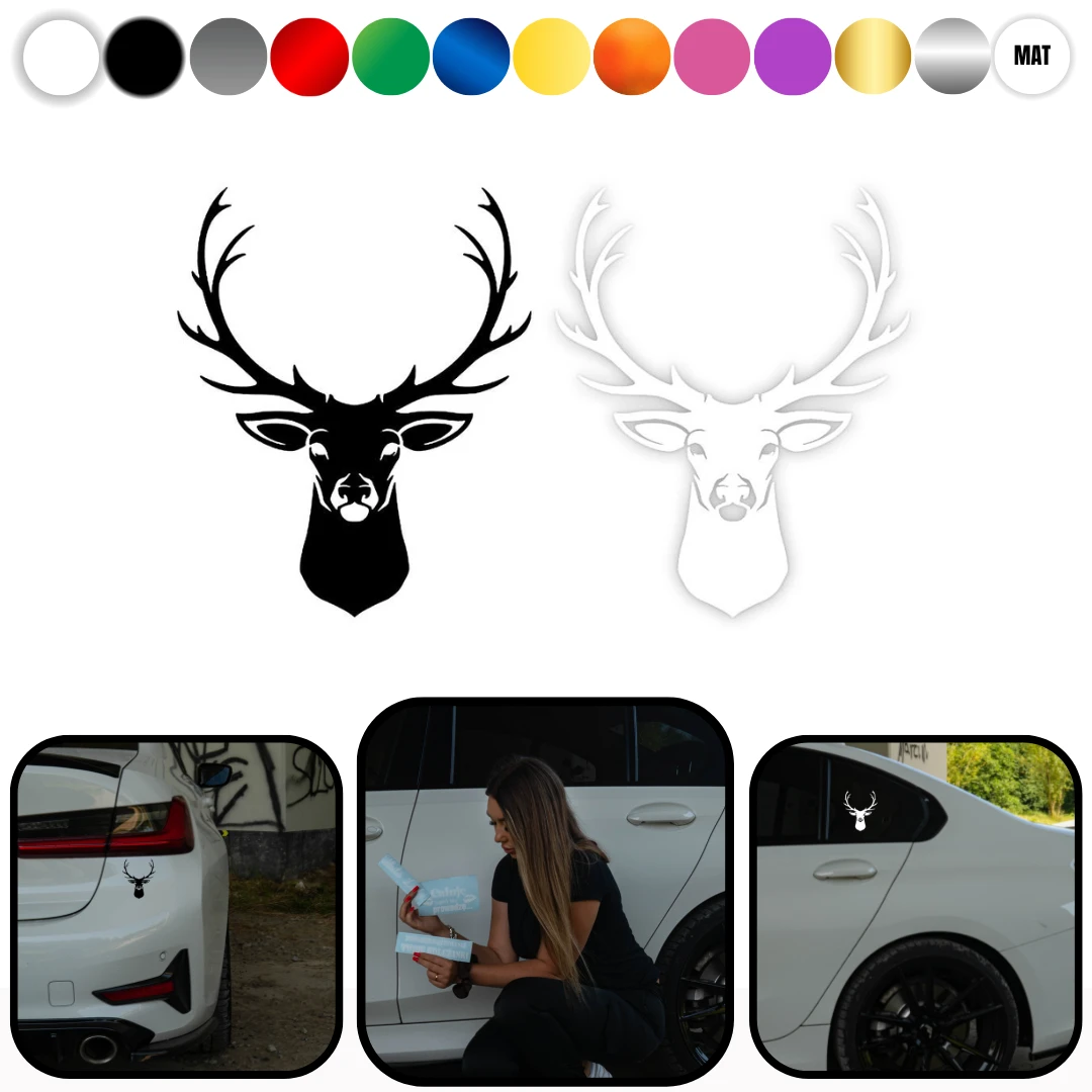 White-and-Orange-Modern-Car-Rent-Instagram-Post-_3_.webp