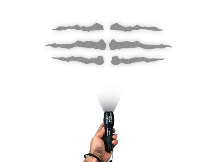 54.3.jpg