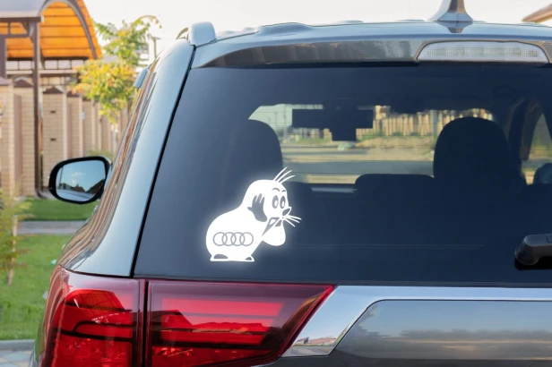 56.5.jpg