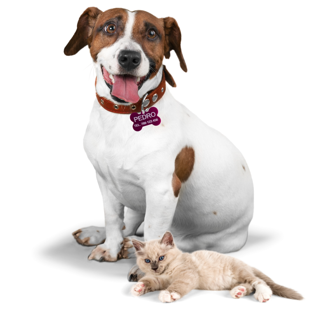 White and Orange Modern Car Rent Instagram Post.png