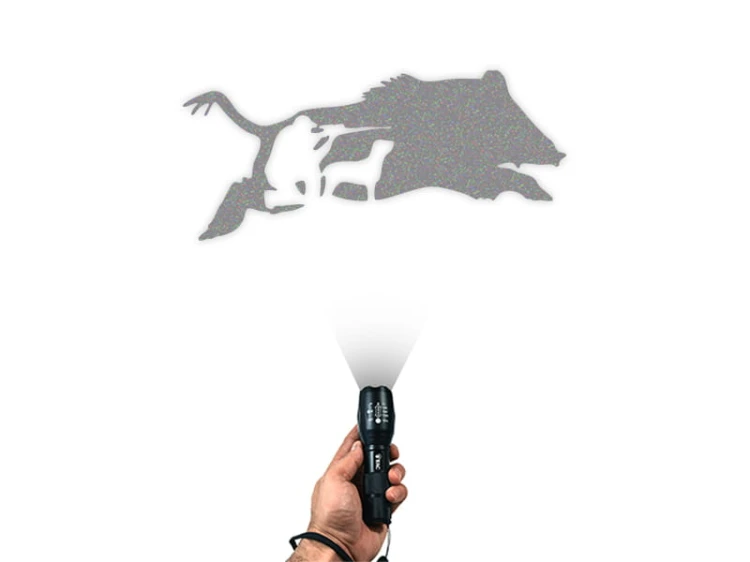 4.3.jpg