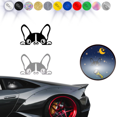 Naklejka PIES W AUCIE na samochód na auto ODBLASKOWA